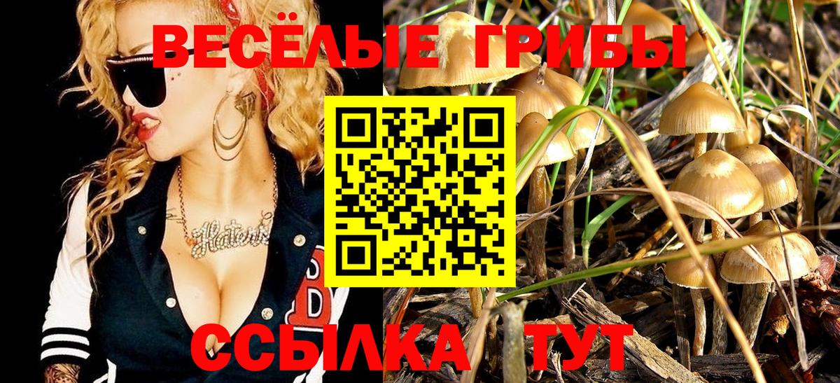 Галлюциногенные грибы GOLDEN TEACHER Новоалександровск