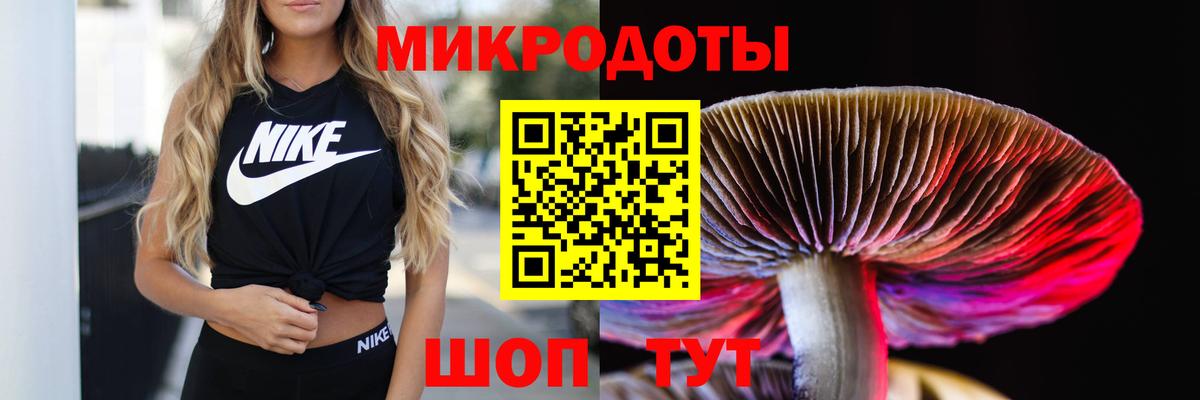 Галлюциногенные грибы Magic Shrooms  Вход с VPN  Новоалександровск 